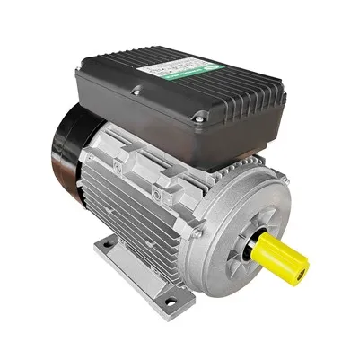 Pojedinačni AC motor